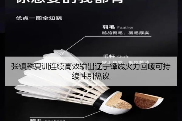 张镇麟夏训连续高效输出辽宁锋线火力回暖可持续性引热议